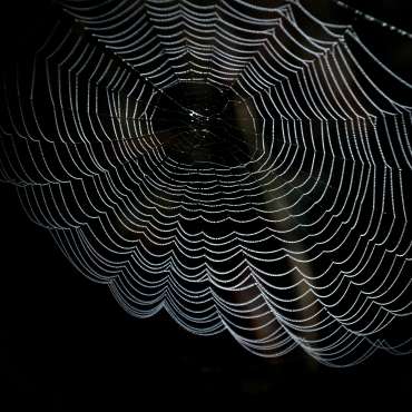 The Dark Web – Insights in Cyber Security Threats