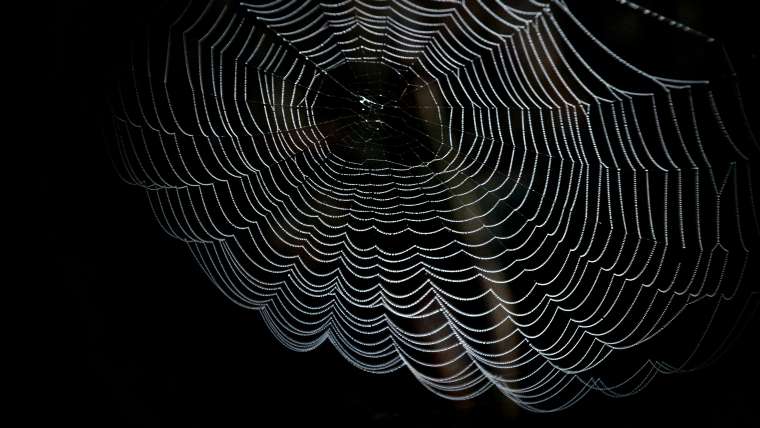 The Dark Web – Insights in Cyber Security Threats