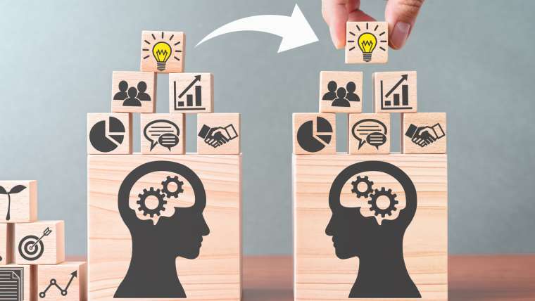 Knowledge transfer. Business knowledge management.
