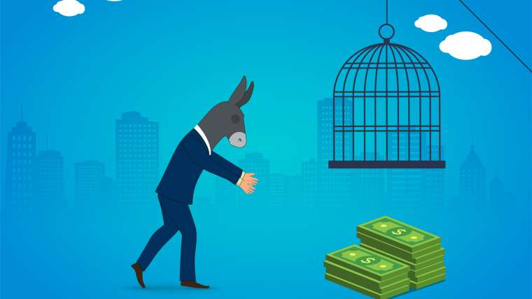 Donkey trapped, business, investment, idiot, stupid...