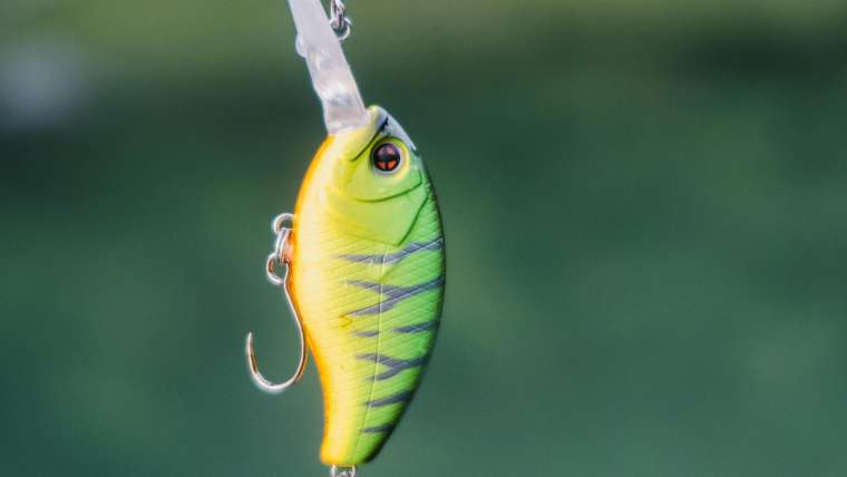 Phishing